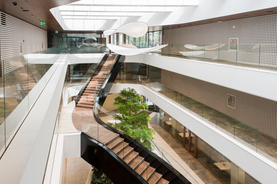 Modern Building Interior With Stairs and a Tree