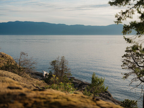 Rugged coastline at warm sunset light in British Columbia