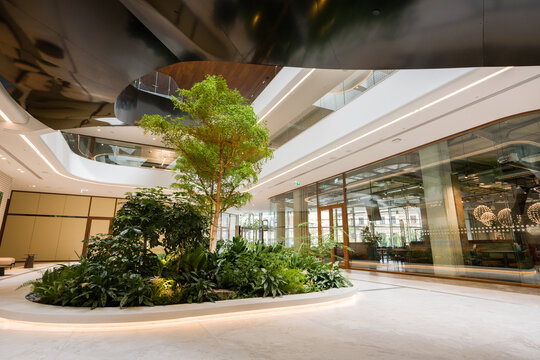 Indoor Garden in a Modern Building During Daytime