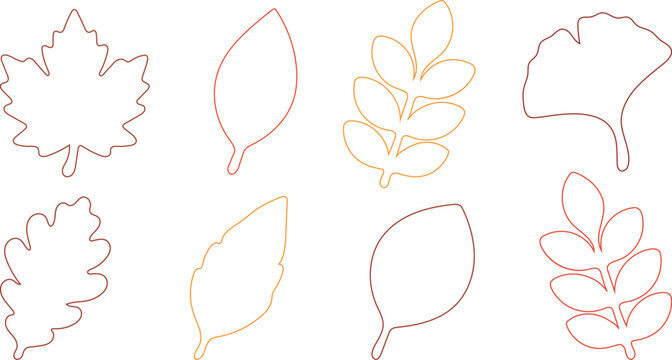 leaf outline, autumn leaves, vector line art, minimalist design, leaf shapes, botanical sketch, fall foliage, monoline vector, isolated graphics, nature drawing, seasonal icons, autumn line art, leaf 