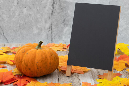 Autumn scene with fall leaves, pumpkin and blank chalkboard sign on wood bench for your autumn message