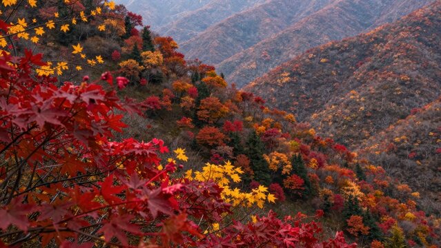 Mountain Valley: Colorful autumn foliage spreading across steep alpine slopes in a dramatic landscape