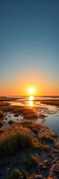 Golden sun paints Virginia saltmarsh, tides ebb and flow ,  sunset,  nature