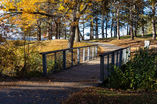 Wooden pedestrian bridge along path with golden foliage in autumn park. Scenic walkway through forest and parkland. Andrew Haydon Park in Ottawa, Canada