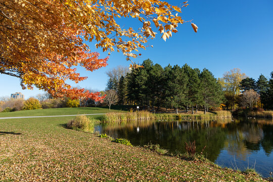Autumn landscape with colorful trees and pond in public park. Andrew Haydon Park during fall in Ottawa, Canada