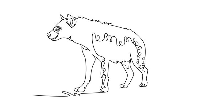Animated self drawing of continuous line draw a wild spotted hyena prowling across savanna terrain. Sloped back posture, curved spot pattern, and sharp facial features. Full length one line animation