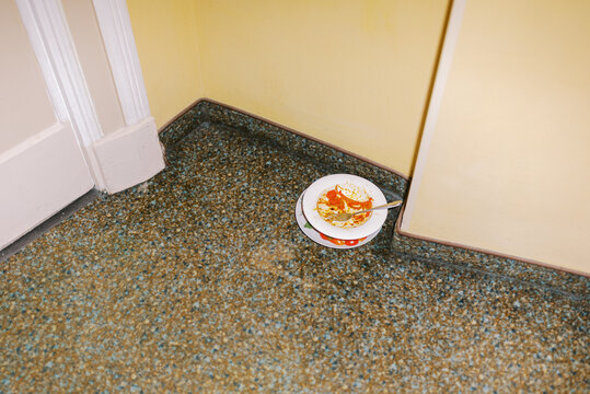 Plate With Leftovers in a Corner of a Room