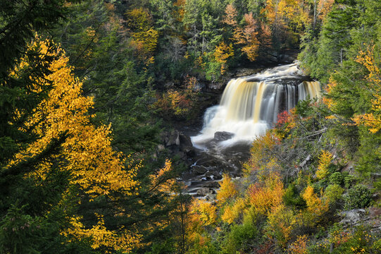 Blackwater Falls State Park, Davis WV in autumn fall foliage