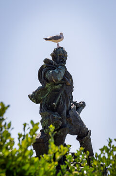Seagull resting on the head of an old bronze statue in Saint-Malo, France against a clear sky with foreground foliage