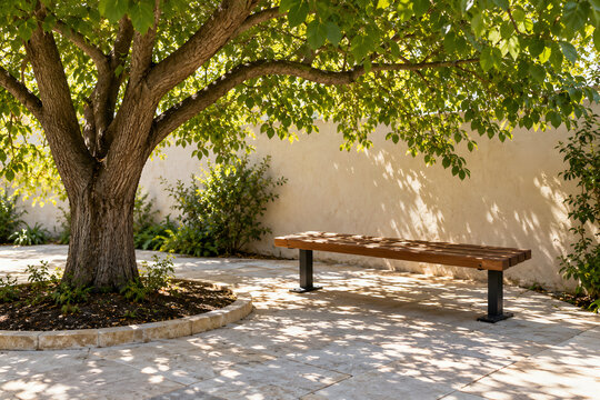 Wooden bench beneath a shade tree in a courtyard
