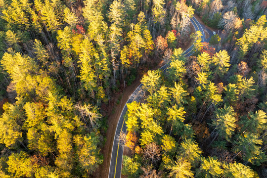 Vibrant autumn landscape in North Carolina mountains. Fall colors stretch across hillsides along quiet mountain road