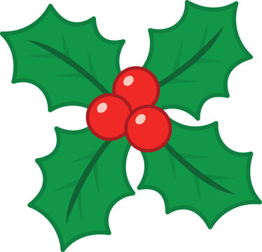 Christmas Holly Leaves and Red Berries Illustration for Festive Holiday Decorations and Seasonal Design