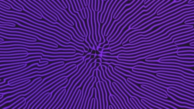 Purple Reaction Diffusion Wave Pattern Seamless Loop
