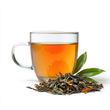 Glass cup of hot herbal tea with dry tea leaves and fresh green leaves isolated on white background for healthy beverage and organic drink concept