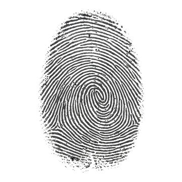 Single white forensic fingerprint pattern for identification