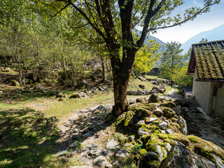 Old medieval houses along the Verzasca River trail (Sentiero Verzasca) from Sonogno to Lavertezzo, Switzerland © Catalin