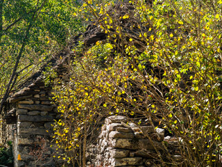 Old medieval houses along the Verzasca River trail (Sentiero Verzasca) from Sonogno to Lavertezzo, Switzerland © Catalin