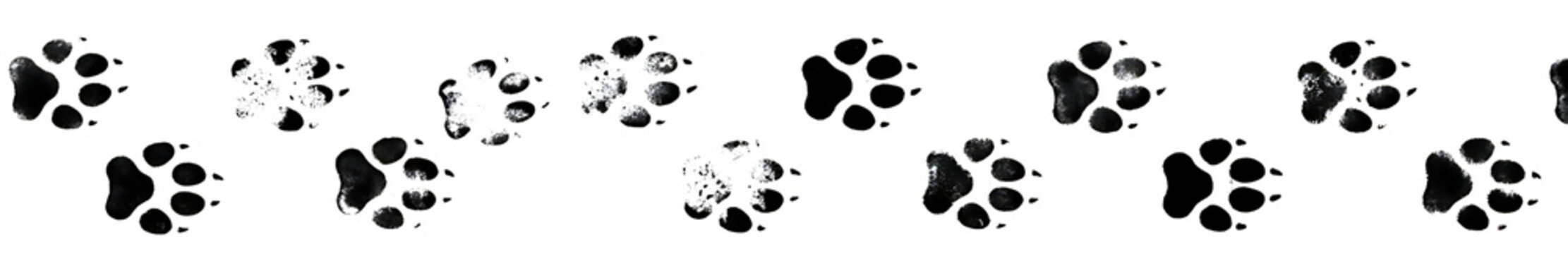Brush stroke, animal paw prints track path isolated on transparent background
