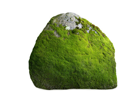 Natural stone boulder covered with green moss on white background