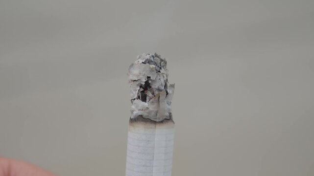 Close up view of a lit cigarette smoldering as the ash grows longer over time, a concept representing addiction, unhealthy habits, the passage of time, and the dangers of smoking