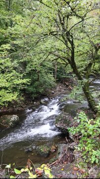 Middle Prong of the Little River Flows Through Tremont in Great Smoky Mountains National Park