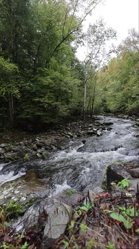 Middle Prong of the Little River Flowing Through the Tremont Section of Great Smoky Mountains National Park