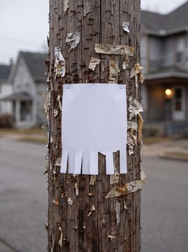 Blank Flyer With Tear Off Strips On Telephone Pole
