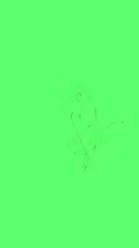 Woman figure self drawing animation on green screen