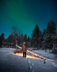 Watching the green northern lights in snowy arctic landscape during polar night © AleCalo