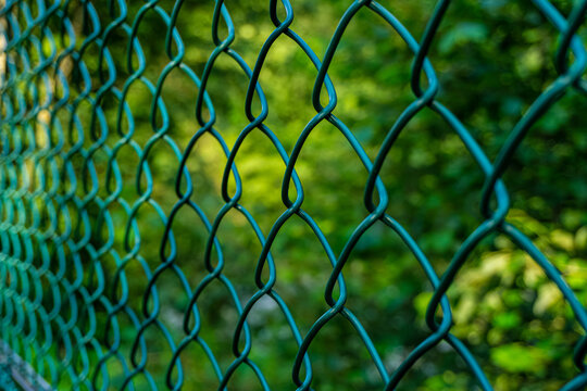 Green chain link wire fence perspective
