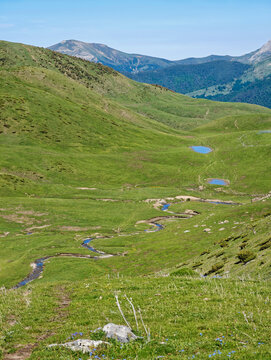 Winding stream flowing through green pyrenees mountain landscape