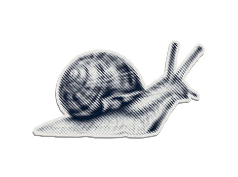 Snail with a spiraled shell and two long tentacles in a halftone style sticker with a cut paper texture