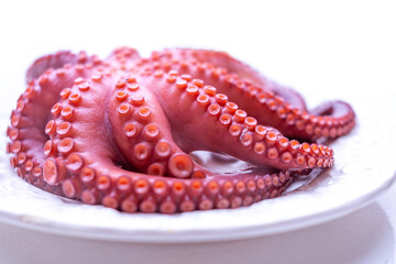 fresh octopus tentacles with detailed suction cups on white plate, Octopus tentacles pink texture, seafood culinary ingredient for gourmet cooking, Mediterranean diet, exotic flavors, restaurant menu © kittyfly