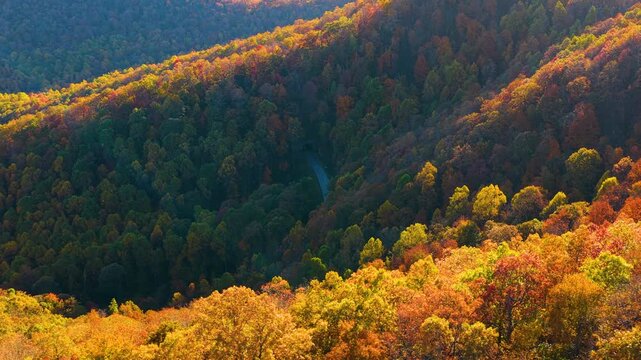 Road tunnel along a scenic highway in the Appalachian Mountains of North Carolina at sunset. Car entering the tunnel beneath vibrant autumn forest and colorful fall foliage.