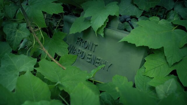 Claymore Mine Hidden On Trail In Forest
