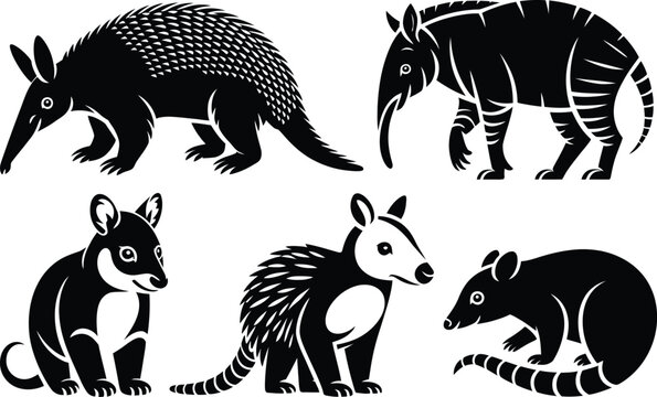Graphic collection of unique small mammals including armadillos and anteaters with nature studies mammal animal kingdom armadillo anteater wildlife creature