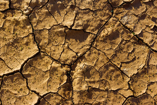 Top view of parched earth texture showing intricate cracks in dry silt and clay, evoking a stark natural pattern caused by severe drought conditions in the arid landscape