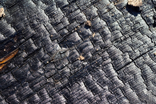 Charred wooden plank texture with deep cracked patterns and scorched black surface, weathered material resulting from fire damage, detailed rustic dark timber background
