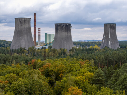 Aerial view of three large concrete cooling towers of a power plant rising above a dense forest with autumn foliage in Lesser Poland Voivode, Poland.