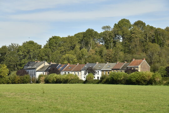 Rang&eacute;es de maisons traditionnelles dissimul&eacute;es entre une prairie et un bois &agrave; Feluy (Soignies)
