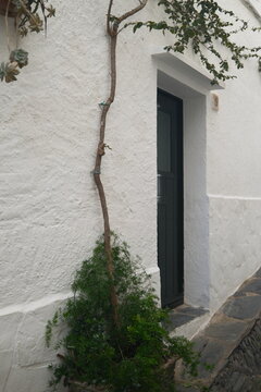 Architectural Door with Distinctive Design, Color and Decorative Details