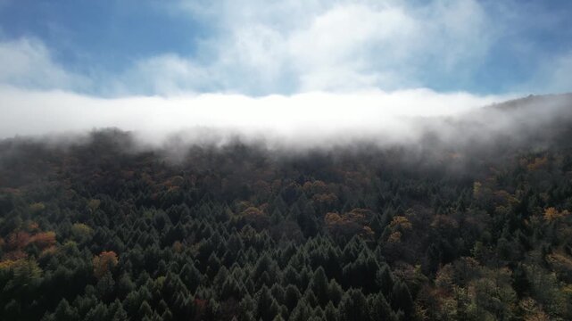 Aerial flight through low clouds and fog over an autumn forest, misty morning in Vermont