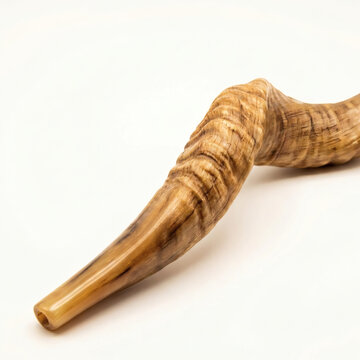 Horn shofar rests on a white surface in a studio setting
