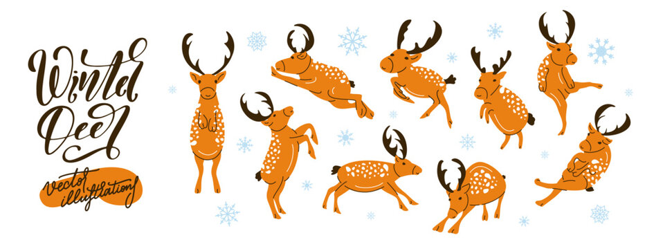 Vector set of Christmas deer character isolated on the white background. Concept of Happy New Year.