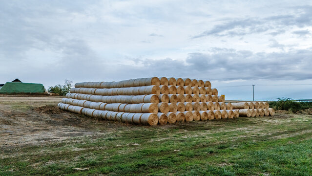 Aerial view of a large stack of cylindrical hay bales arranged in a field under a cloudy sky in Utrine, Vojvodina, Serbia.