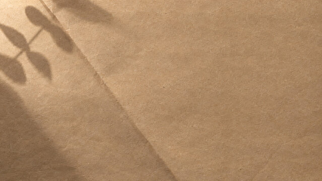 Kraft paper background with leaf shadow, brown paper texture with soft eucalyptus shadow and diagonal crease, natural minimal craft paper backdrop with copy space