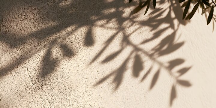 Ombre douce de branches et feuilles sur un mur beige textur&eacute;
