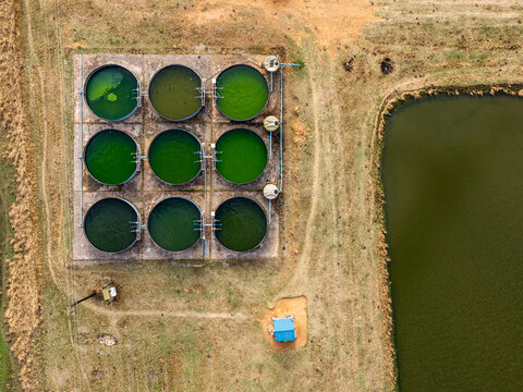 Aerial view of nine circular wastewater treatment tanks with varying shades of green water and a large settling pond in a rural landscape, Makhanda, Eastern Cape, South Africa.