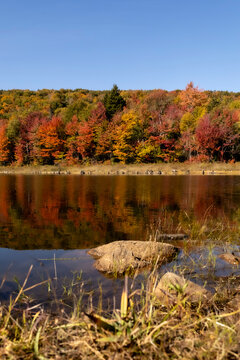 couleurs automne a Quebec