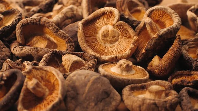 Dried shiitake mushrooms close up, pile of dry asian shiitake mushroom caps, chinese and japanese umami ingredient for soup, ramen and broth background